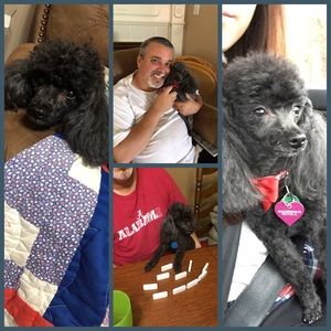 Meet your Posher, Kim